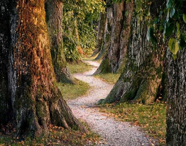 Intuition is a resource